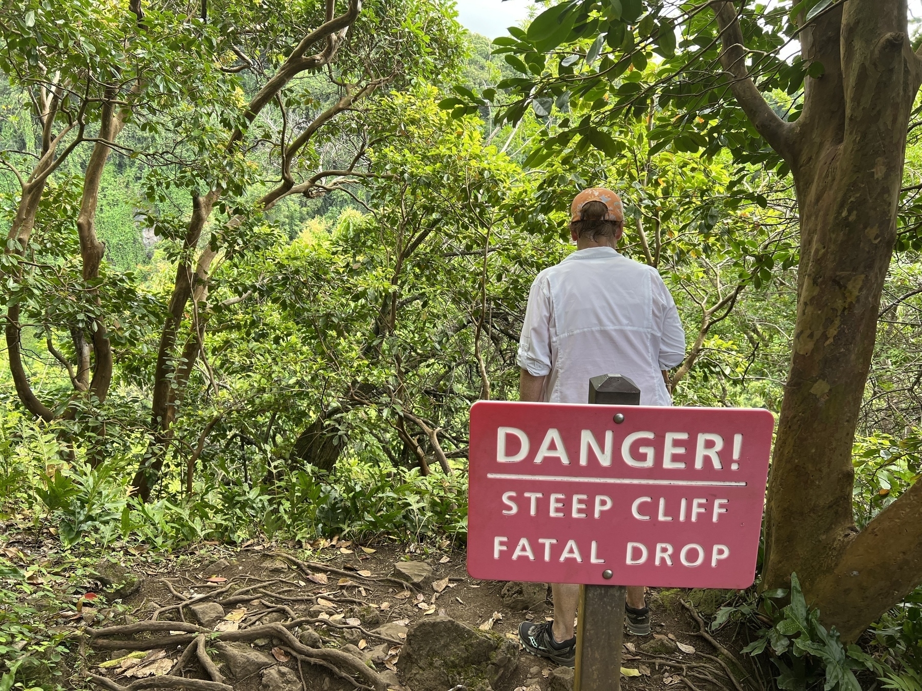 Picture of a person standing behind a sign that says “Danger! Steep cliff. Fatal drop”